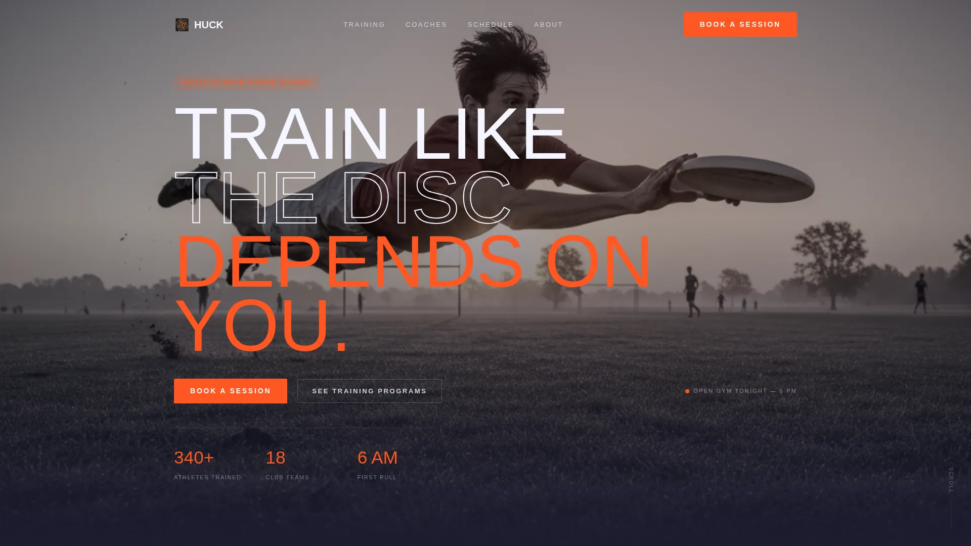 Ultimate Frisbee Academy Landing Page Template