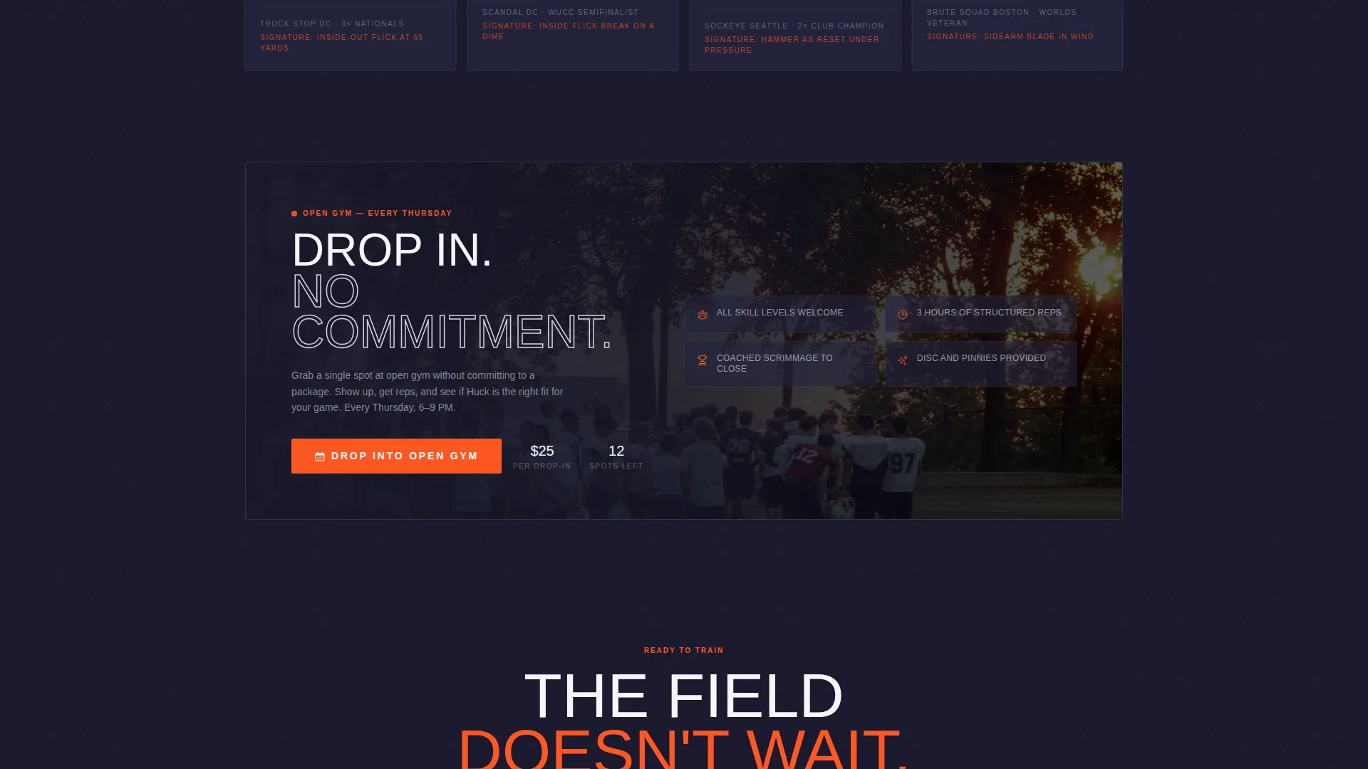 Ultimate Frisbee Academy Landing Page Template