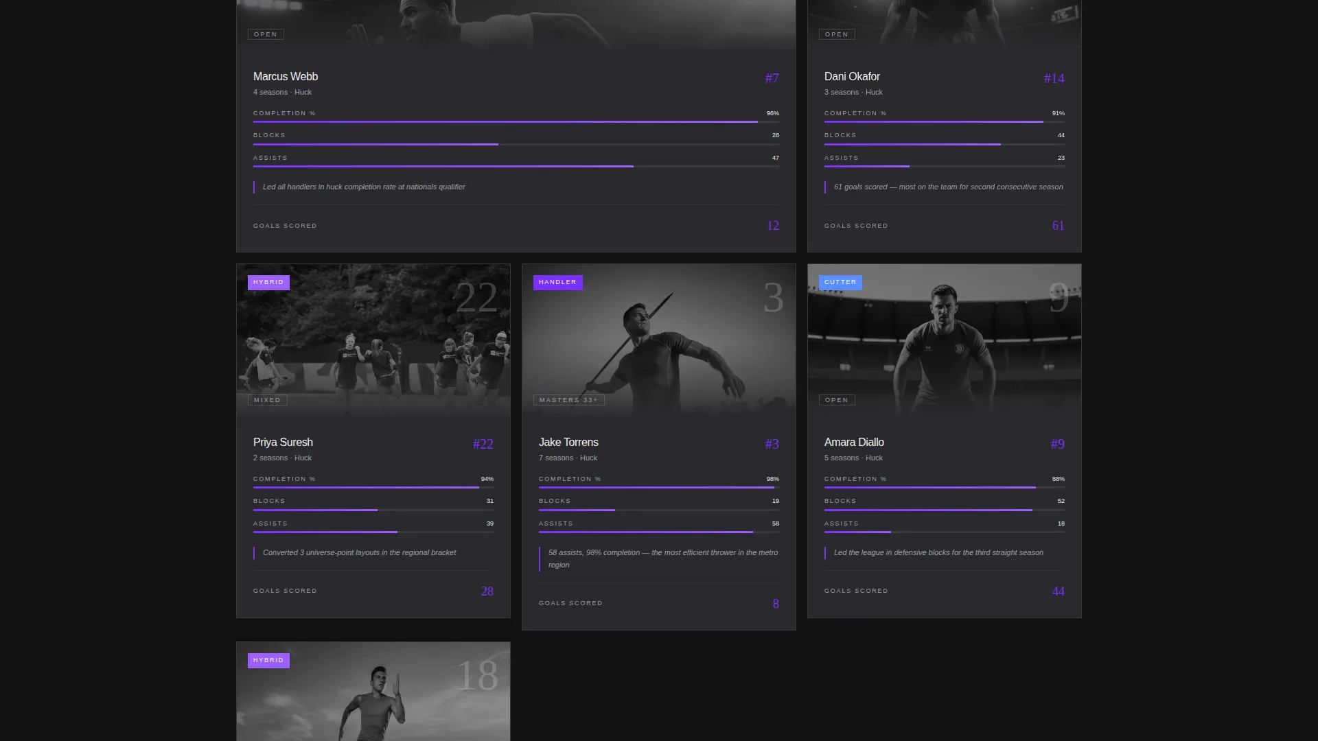 Ultimate Frisbee Professional Website Template