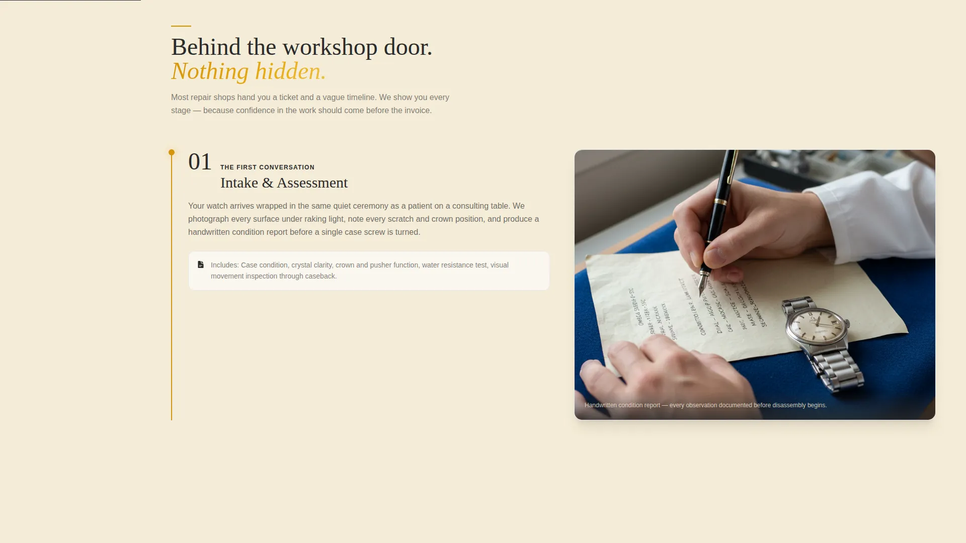 Precision Watch Repair Landing Page Template
