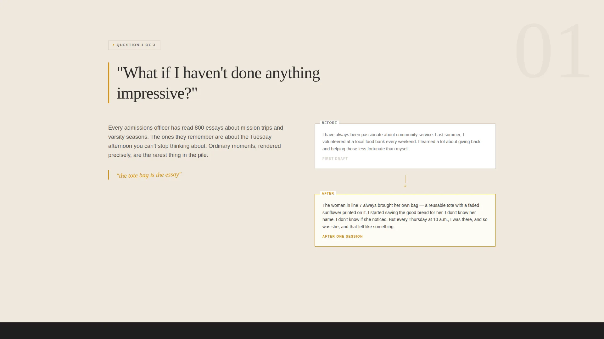 Compelling Collegeessay Landing Page Template