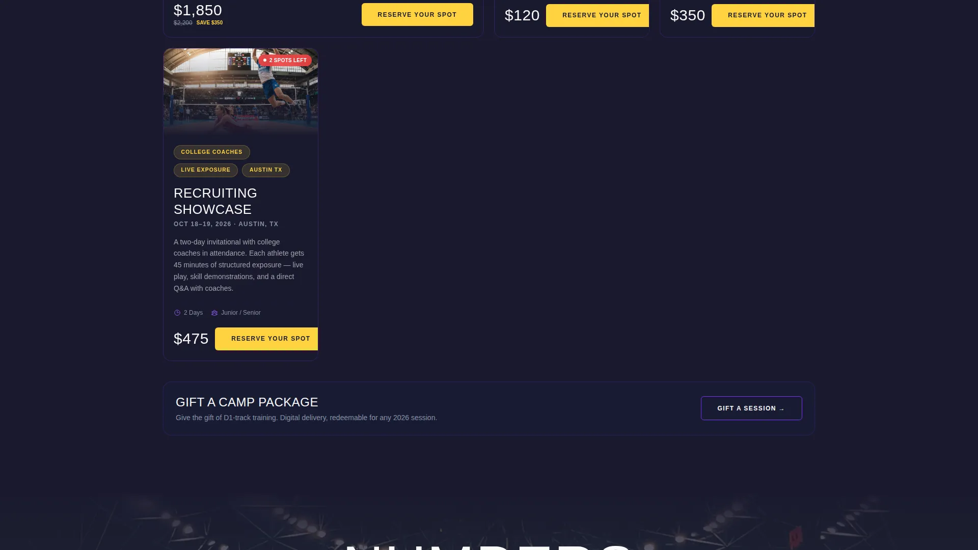 Elite Volleyball College Landing Page Template