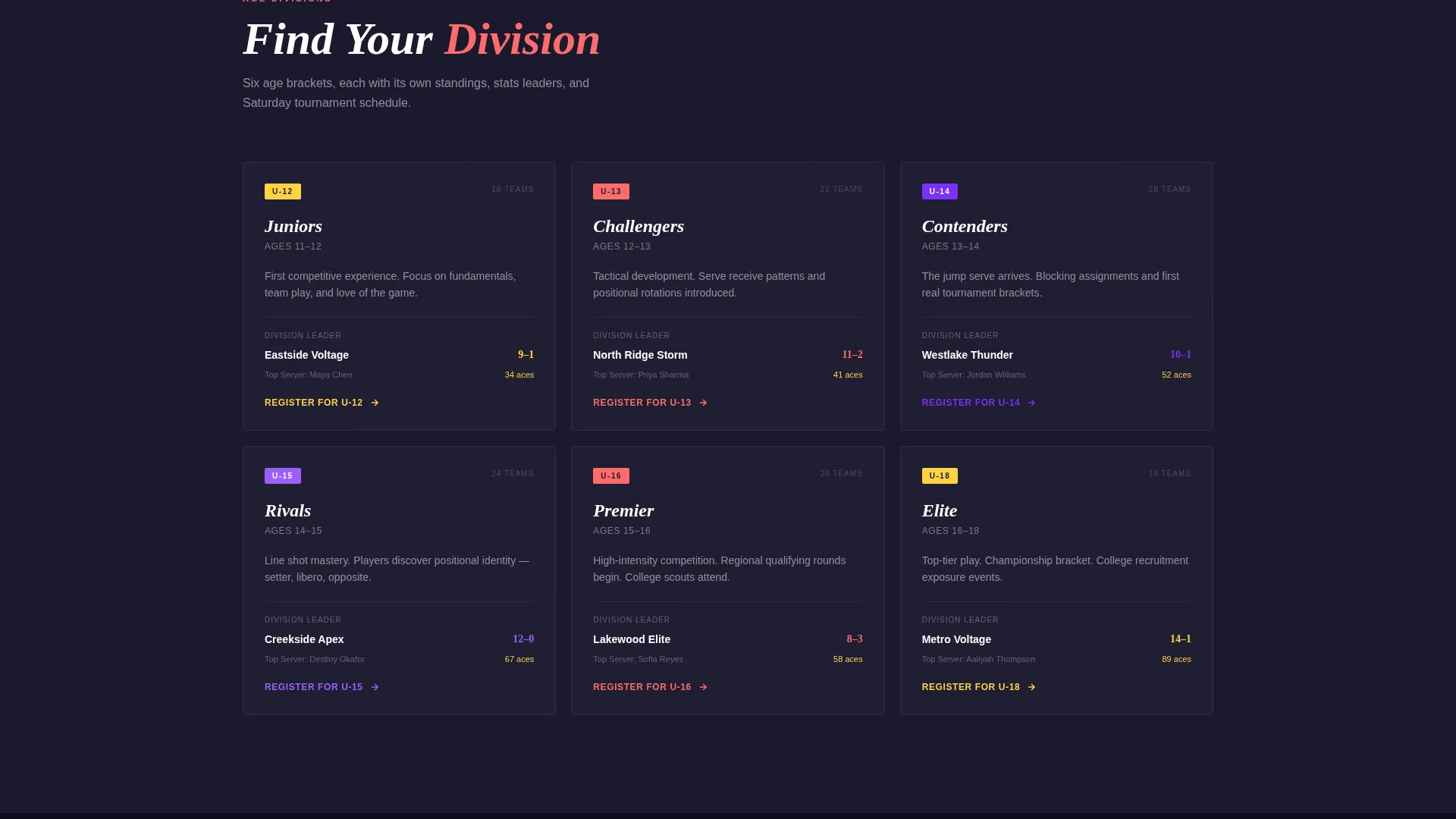 Youth Volleyball League Landing Page Template