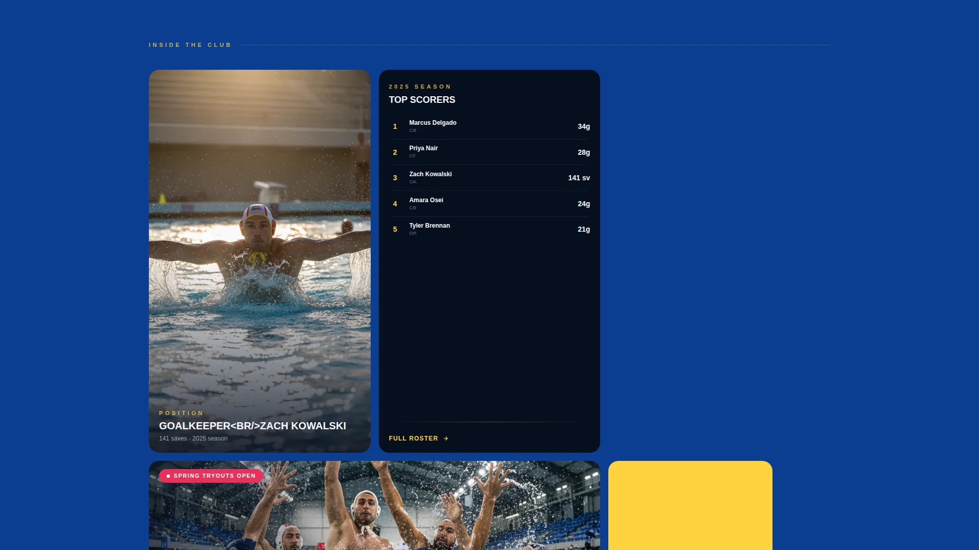 Competitive Water Polo Club Landing Page Template