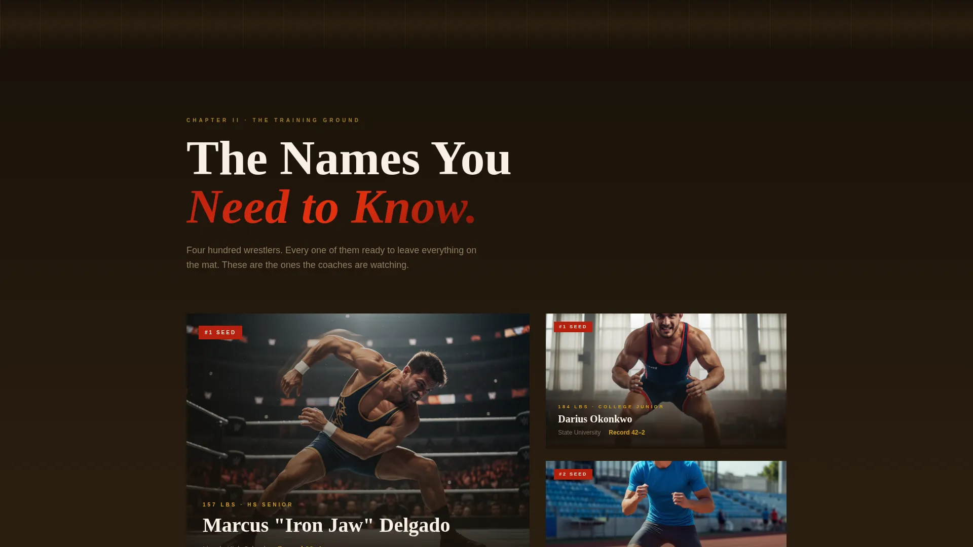 Dominant Grappling Sports Landing Page Template