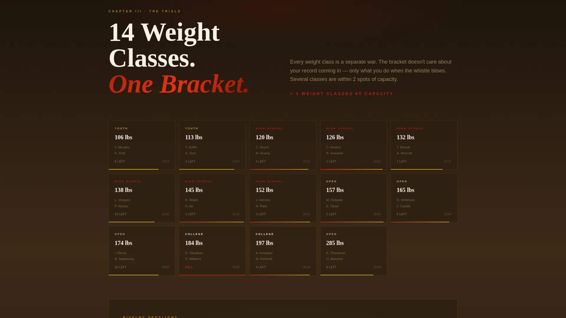 Dominant Grappling Sports Landing Page Template
