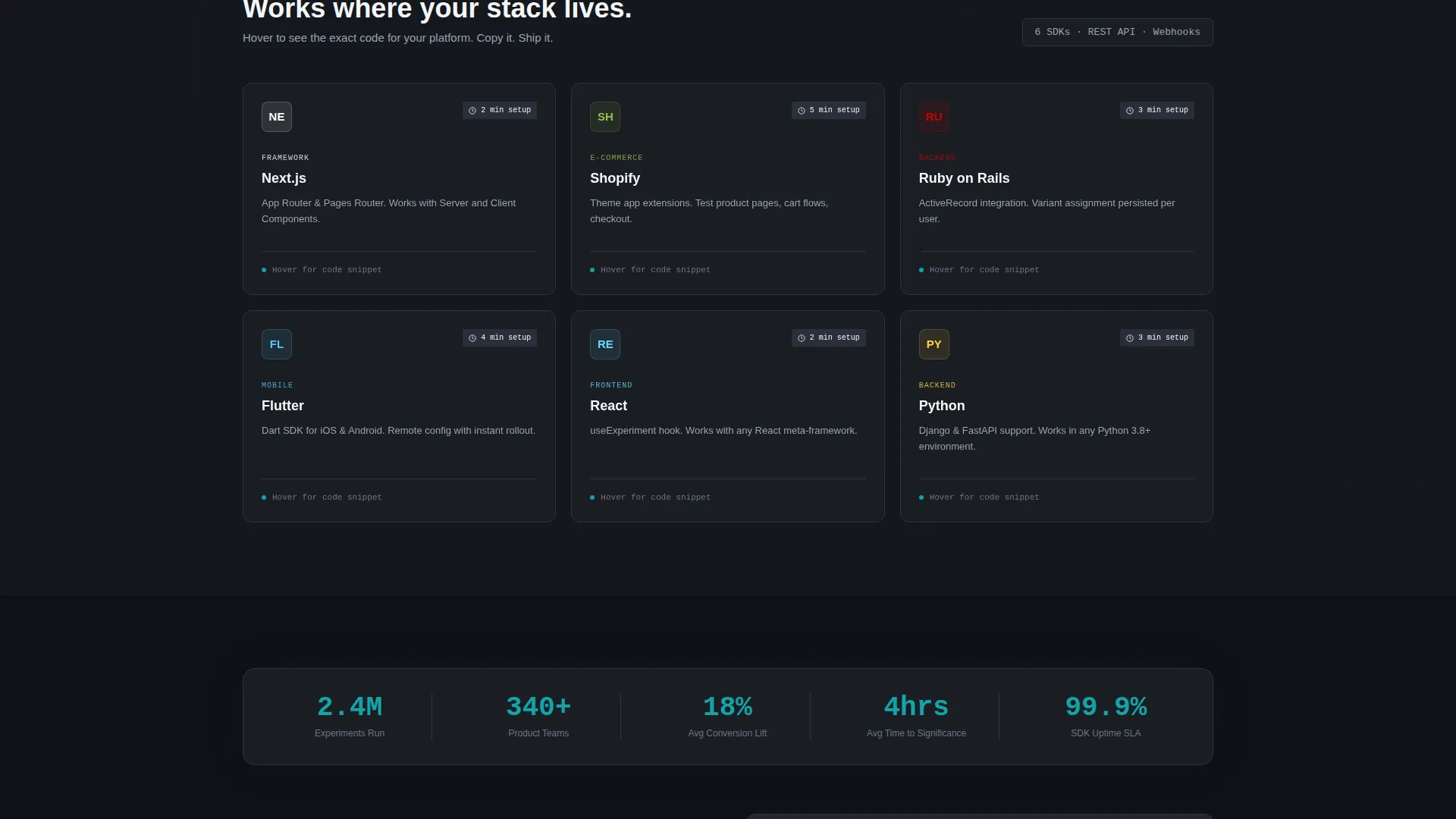 Micro-SaaS & Developer Tools Specialist Professional Website Template