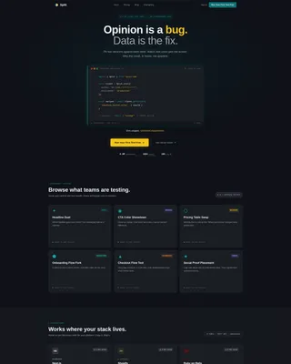 Micro-SaaS & Developer Tools Specialist Professional Website Template