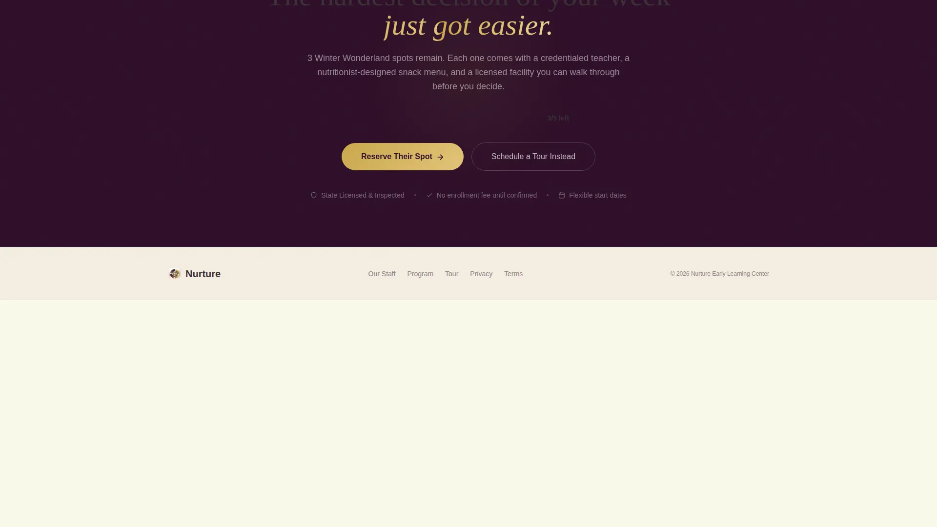 Expert Early Childhood Care Landing Page Template