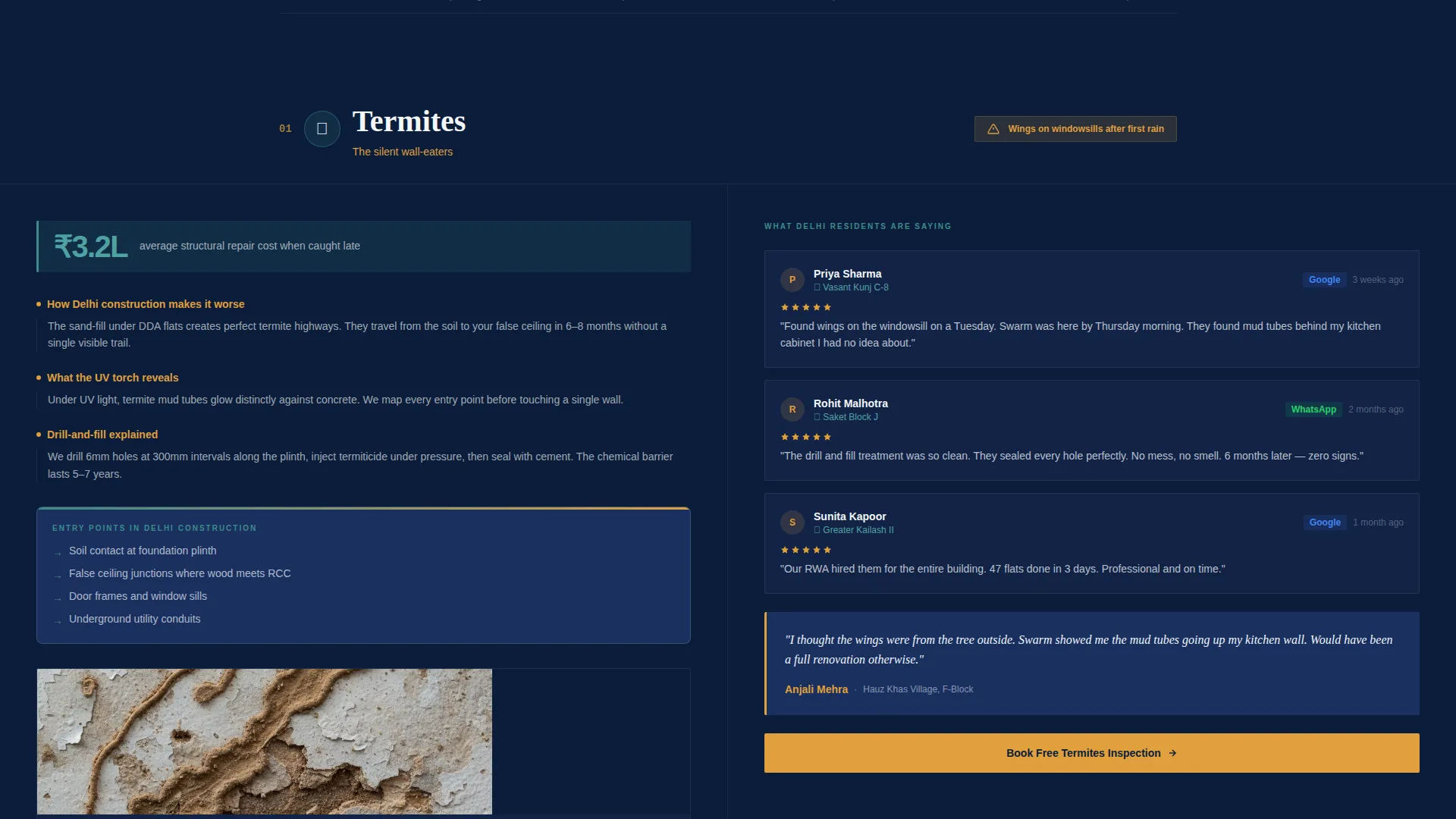 Certified Pest Control Landing Page Template