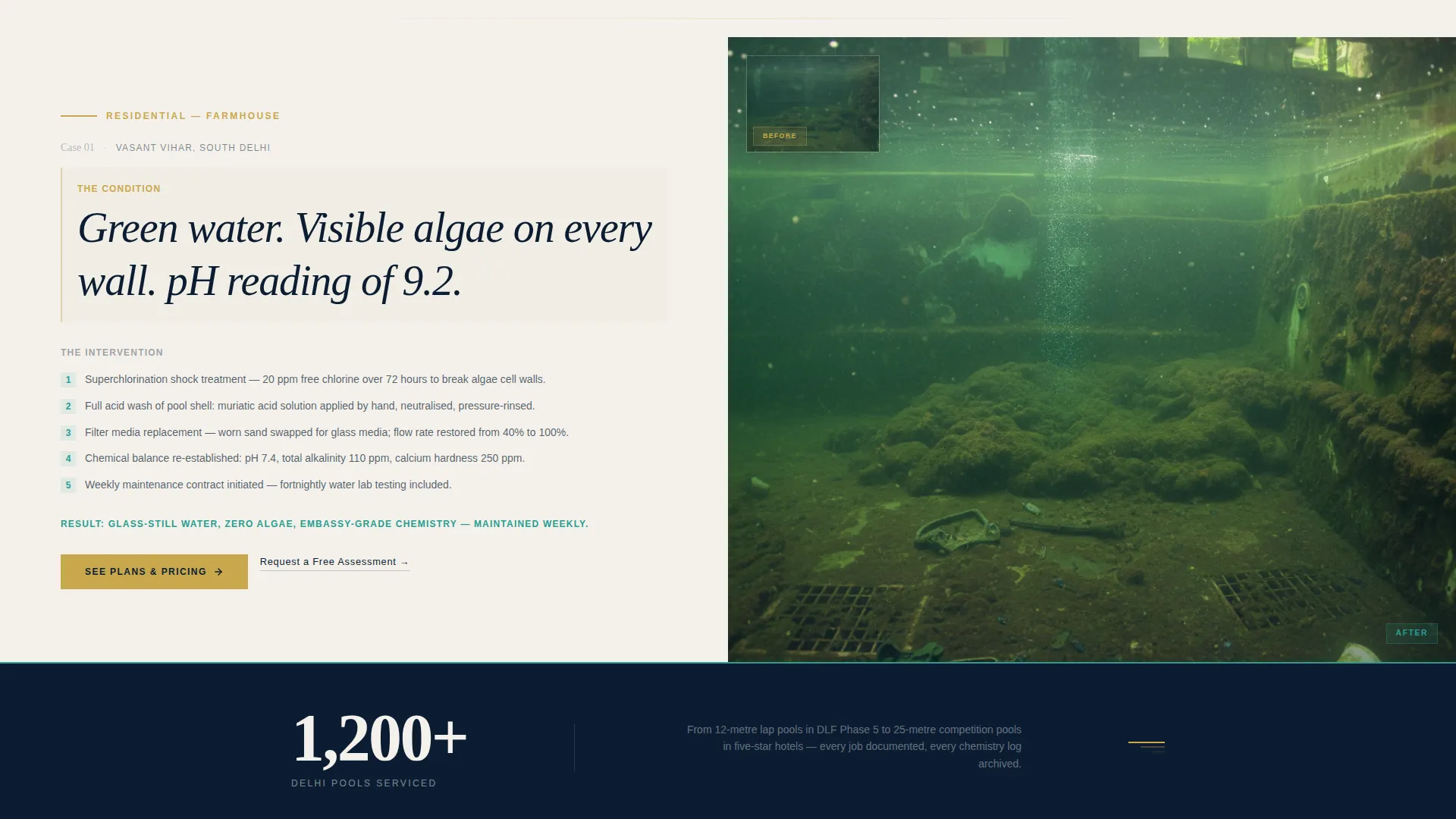 Elite Pool Cleaning Landing Page Template