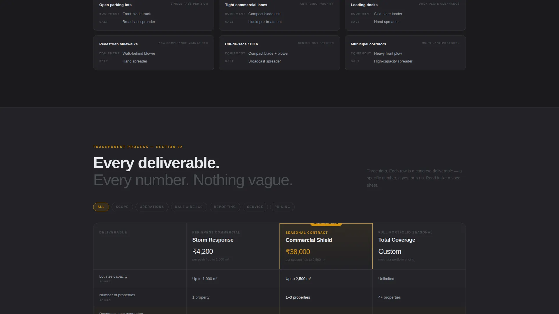 Delhi Snow Removal Landing Page Template
