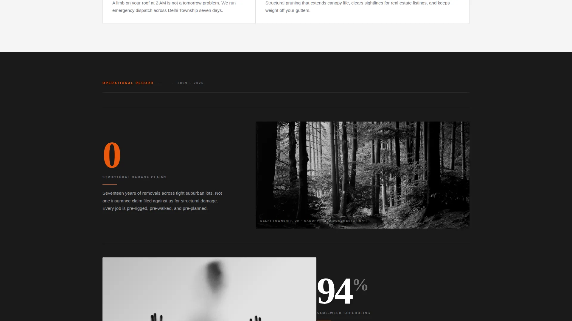 Expert Arborist Services Landing Page Template