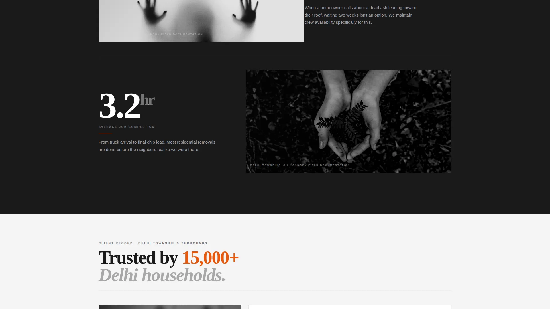 Expert Arborist Services Landing Page Template