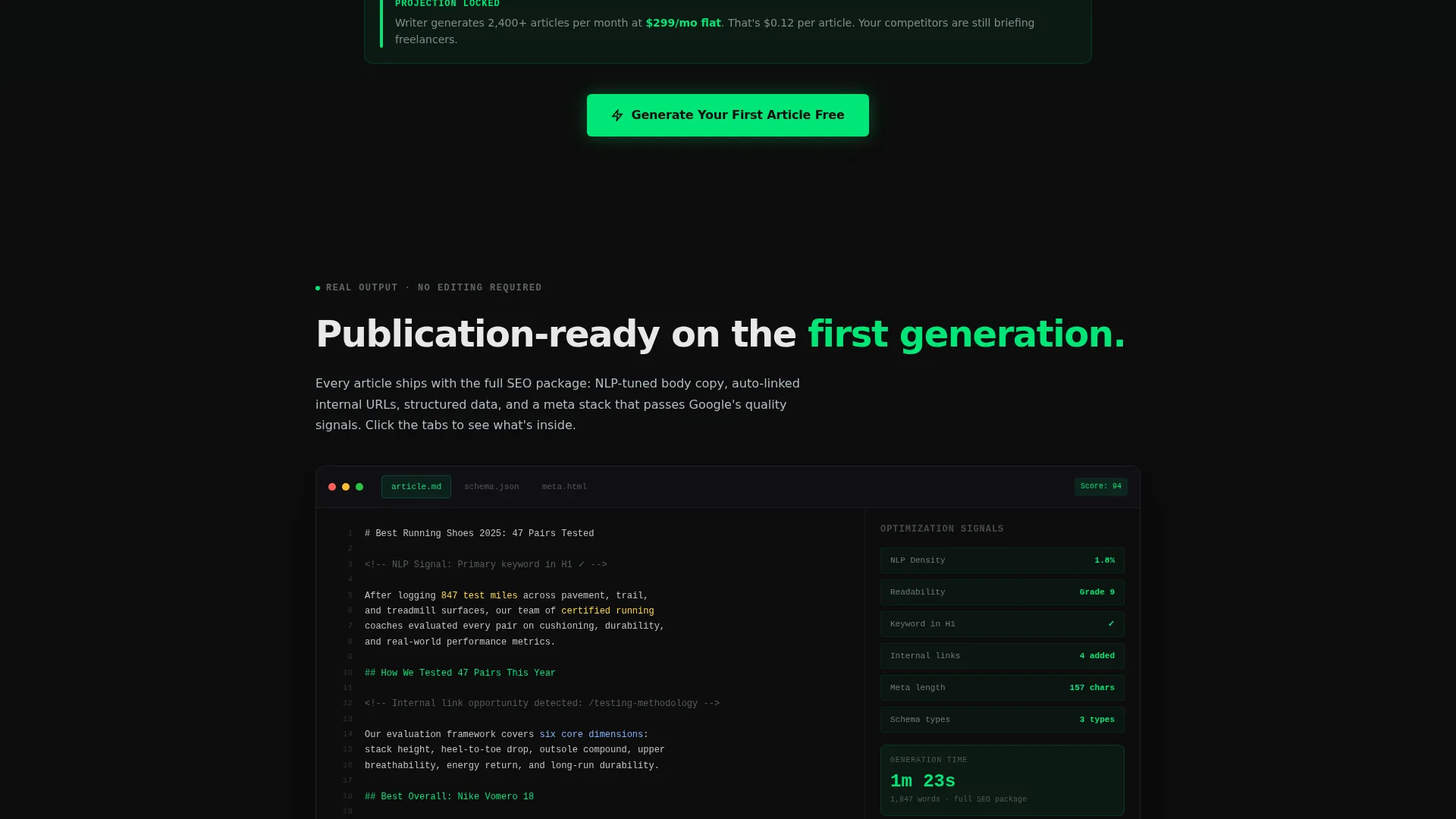 Micro-SaaS & Developer Tools Professional Website Template