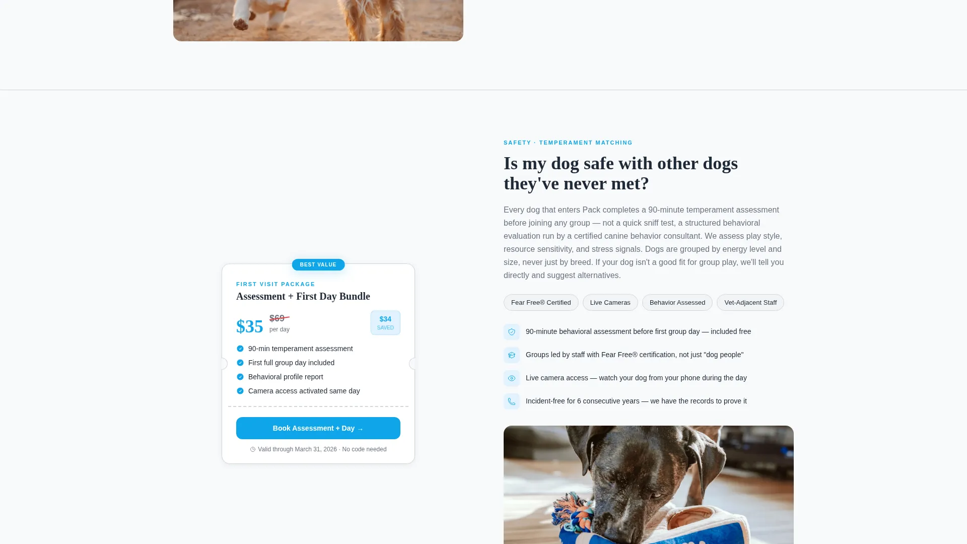 Premium Dog Daycare Coupon & Discount Landing Page