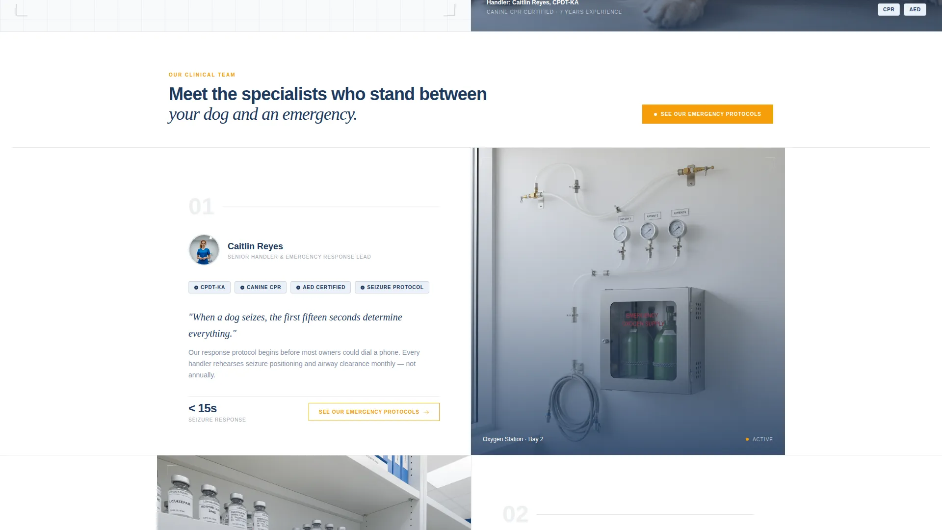 Precision Veterinary Dog Daycare Emergency Landing Page