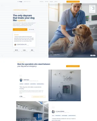 Precision Veterinary Dog Daycare Emergency Landing Page