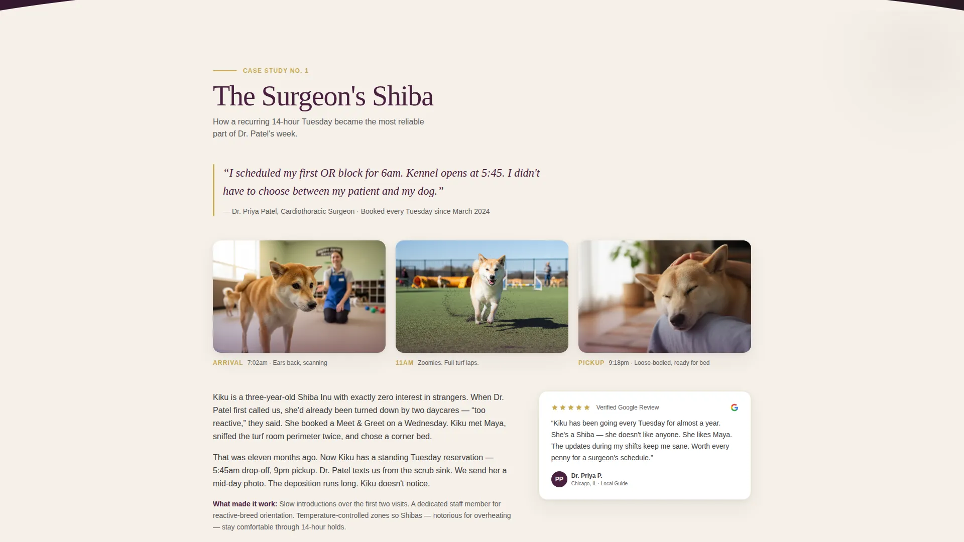 Dog Daycare Booking Landing Page Template