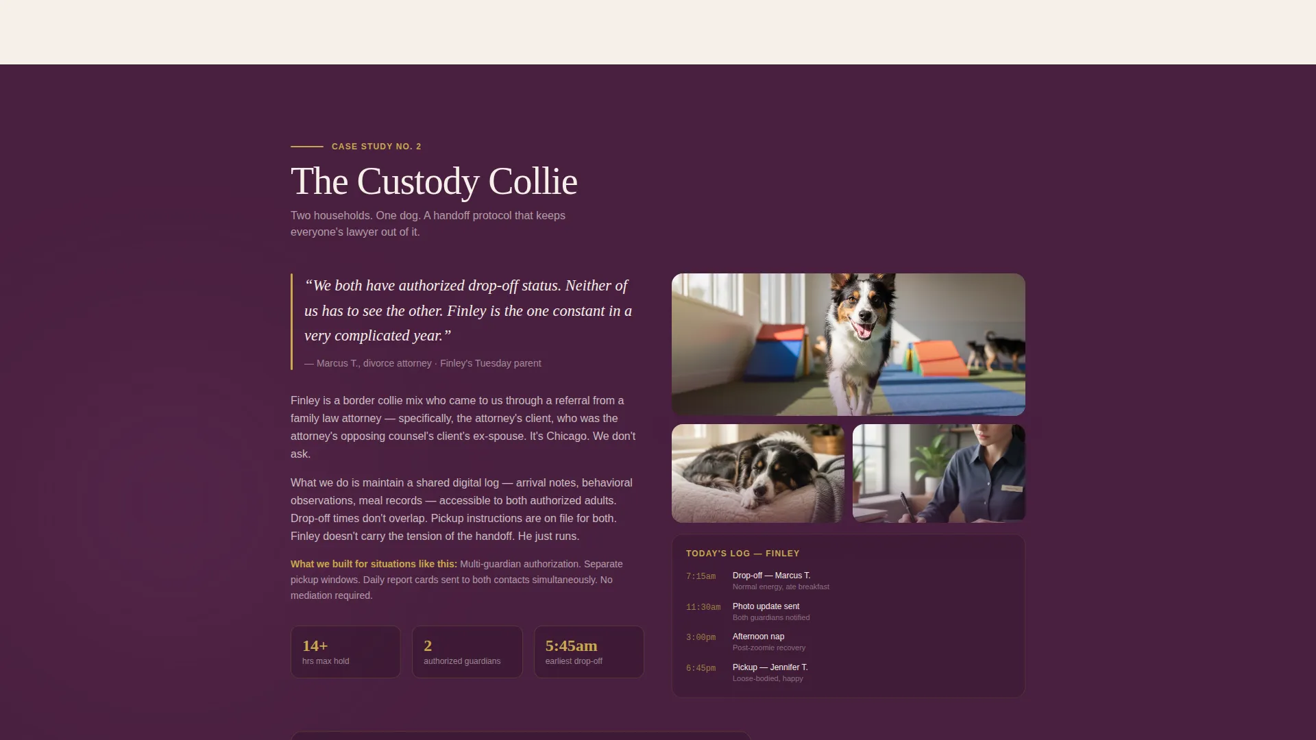 Dog Daycare Booking Landing Page Template