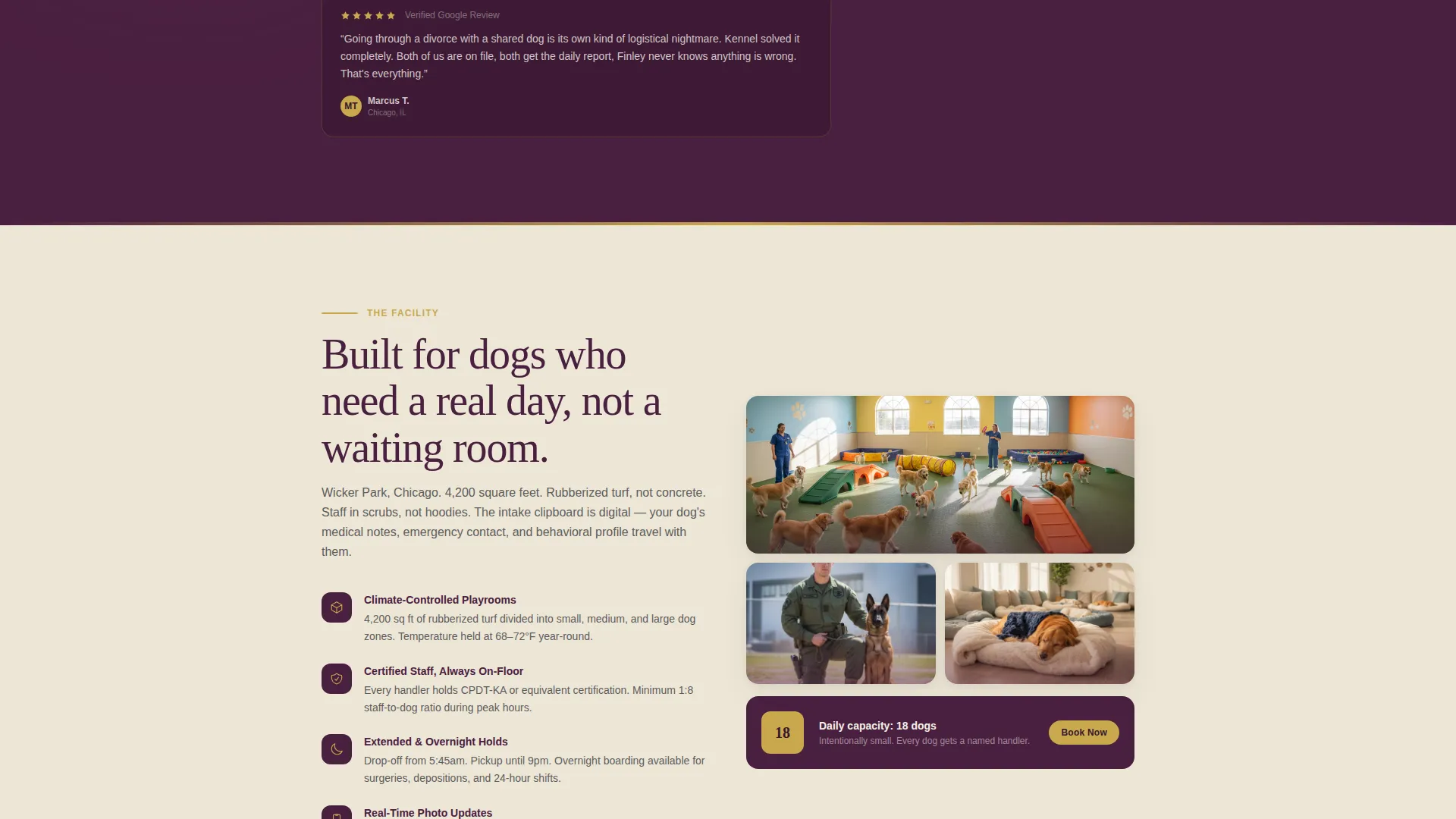 Dog Daycare Booking Landing Page Template