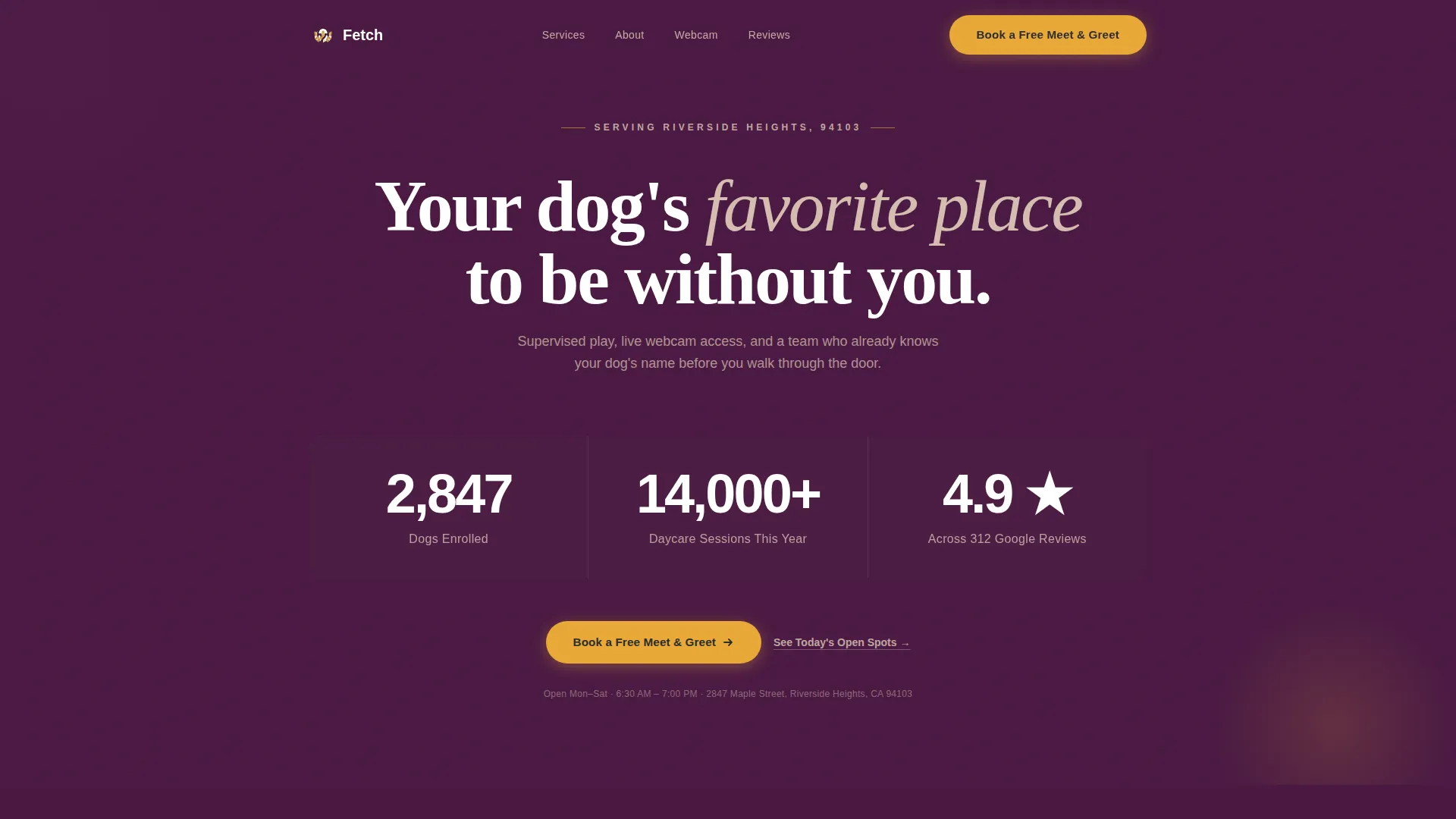 Dog Daycare Local SEO Landing Page Template