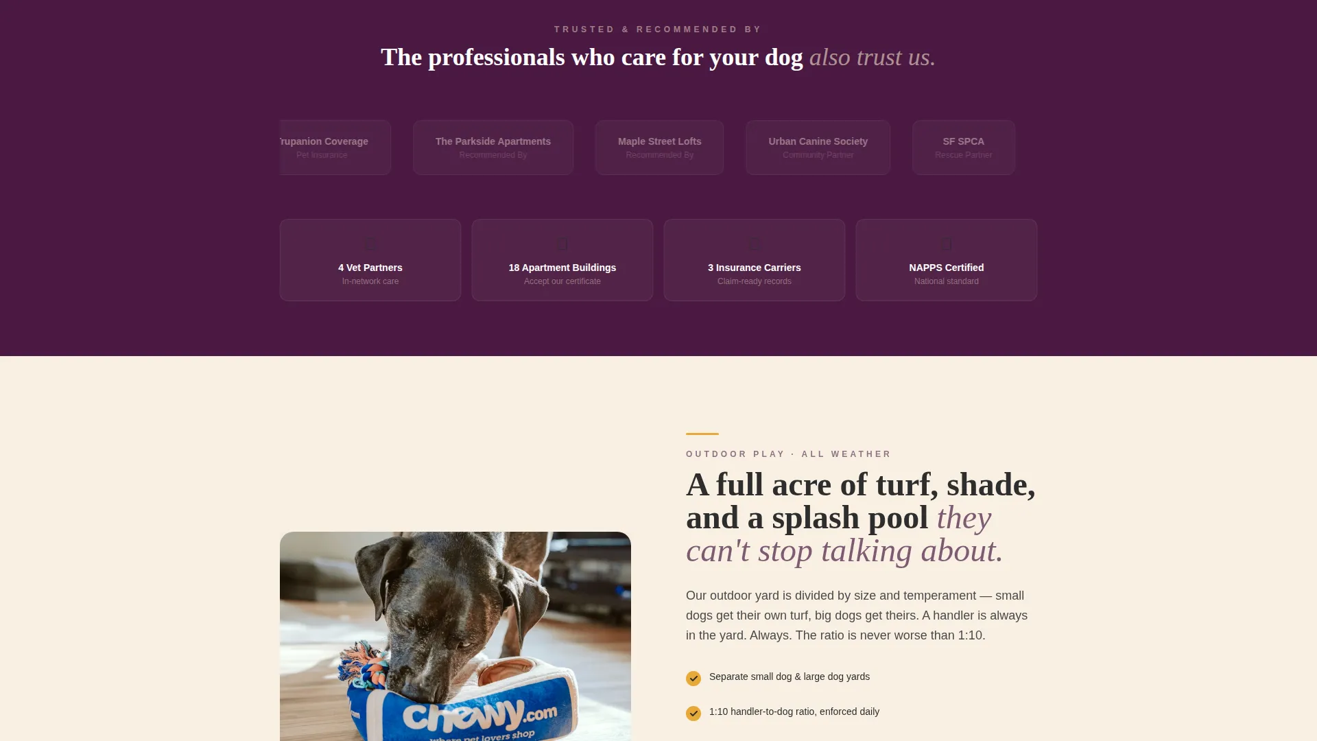 Dog Daycare Local SEO Landing Page Template