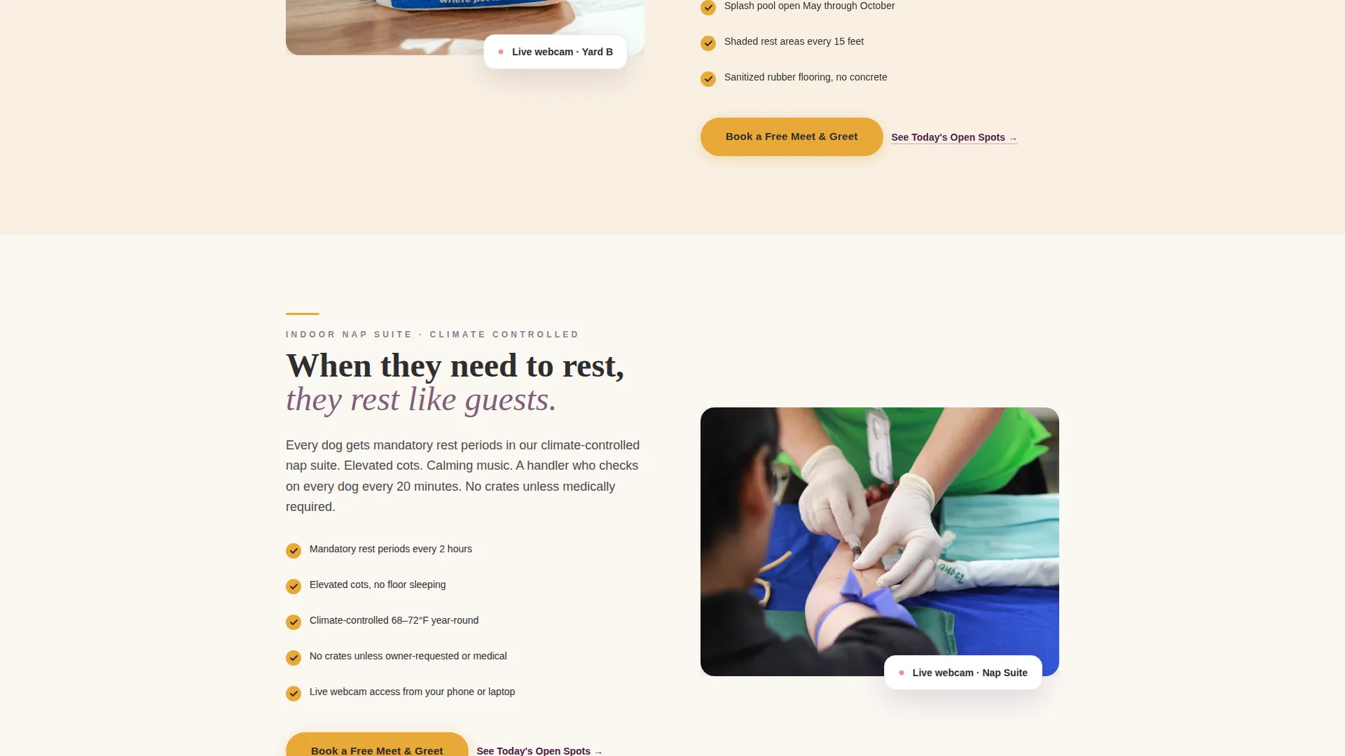 Dog Daycare Local SEO Landing Page Template