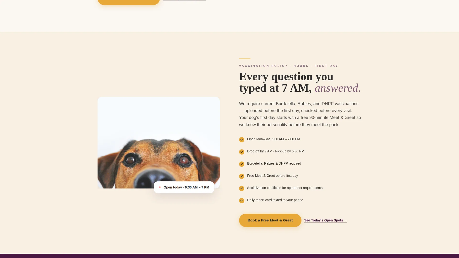 Dog Daycare Local SEO Landing Page Template