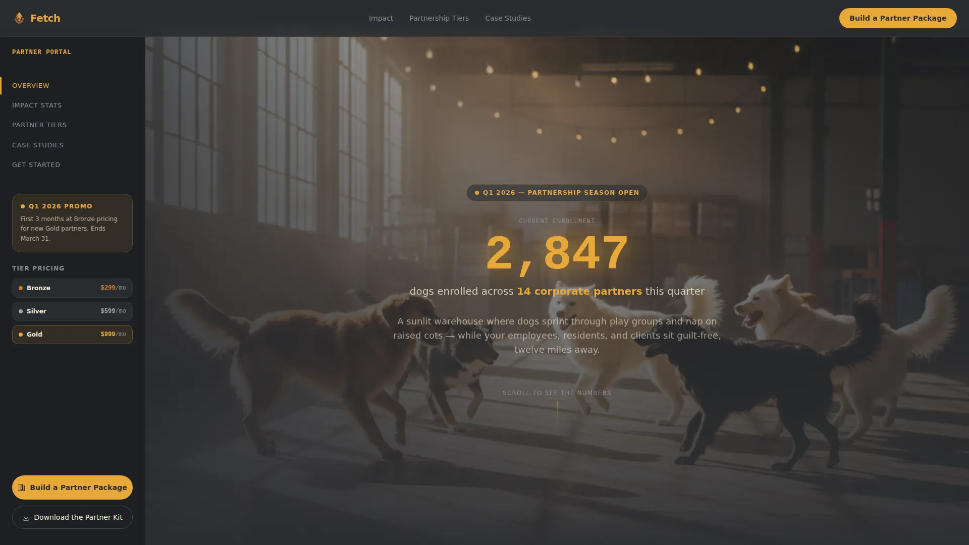 Dog Daycare Seasonal Promotion Landing Page Template