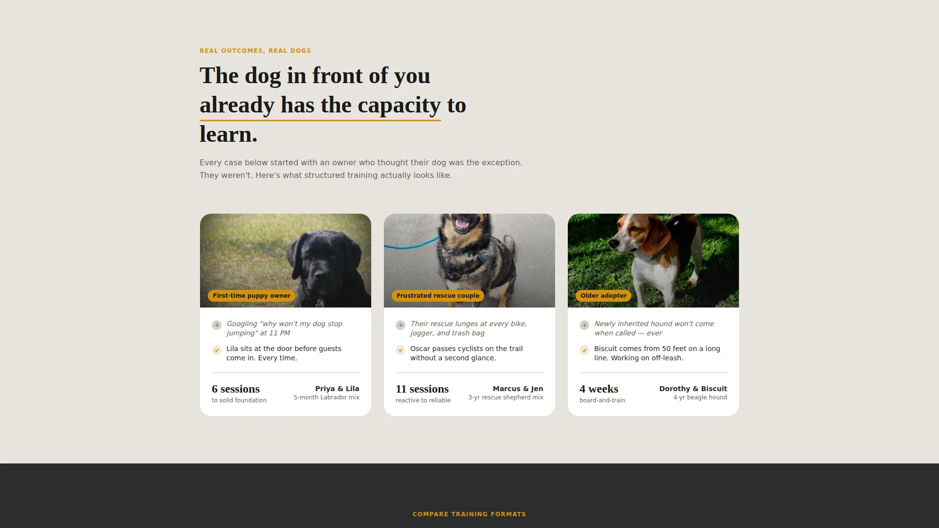Dog Trainer Landing Page Template | Booking & Comparison