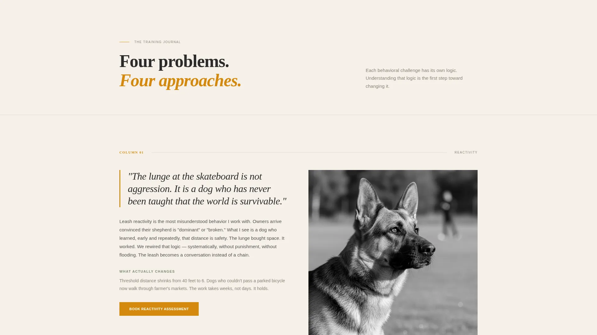 Dog Trainer Landing Page Template | Editorial Style