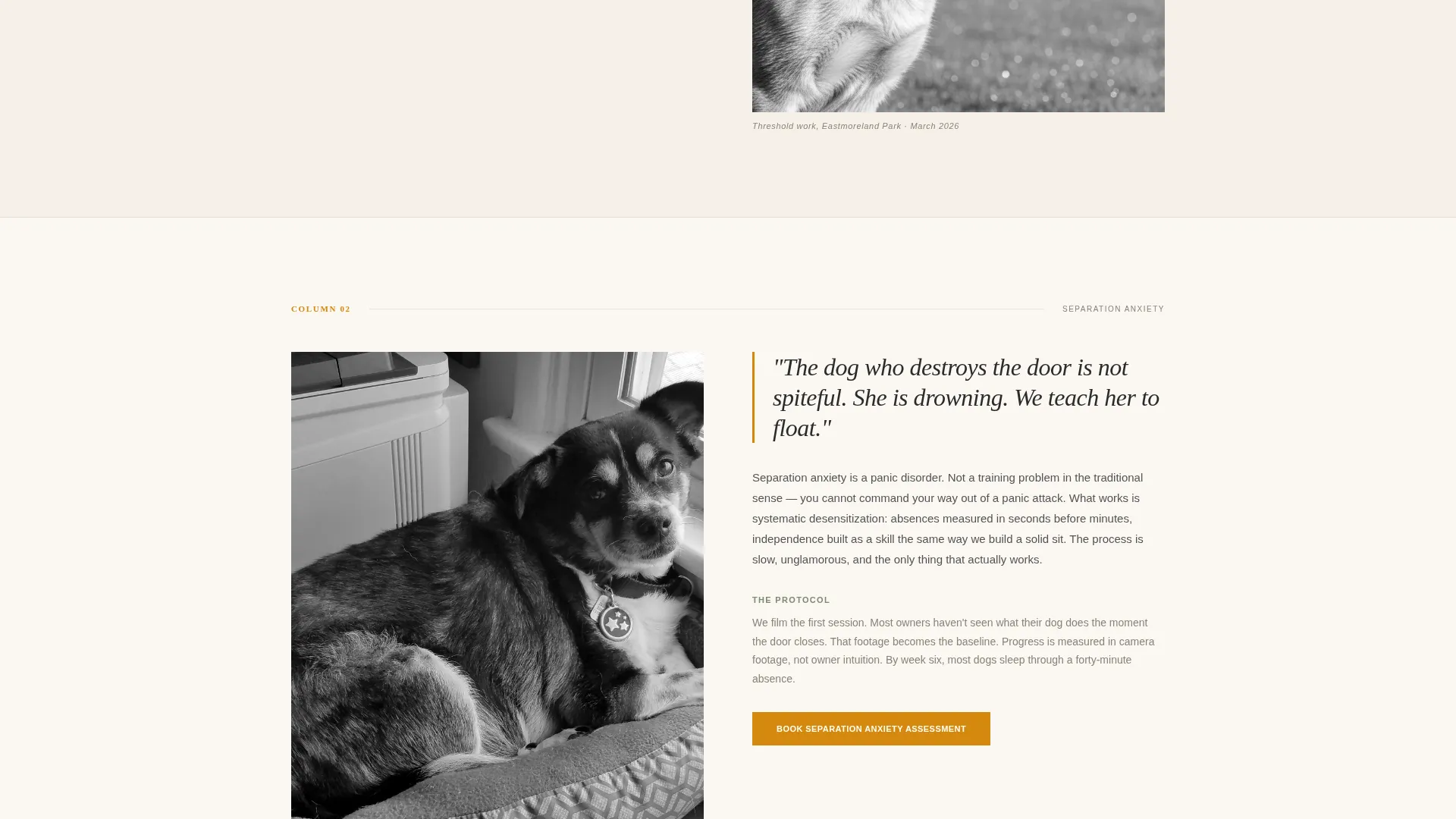 Dog Trainer Landing Page Template | Editorial Style