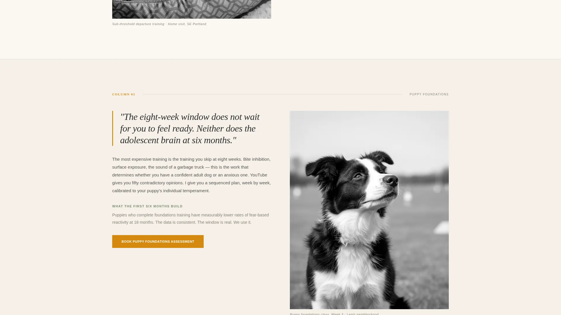 Dog Trainer Landing Page Template | Editorial Style
