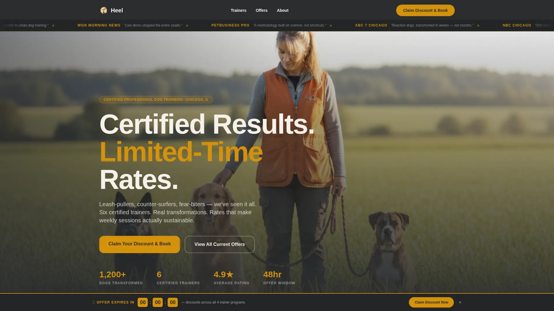Dog Trainer Discount Landing Page Template