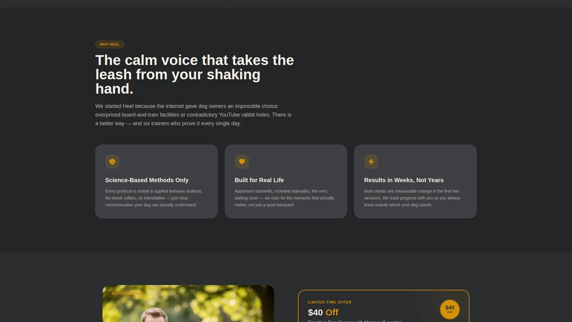 Dog Trainer Discount Landing Page Template