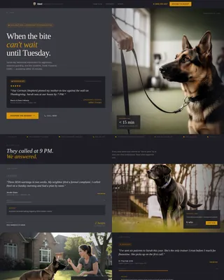 Dog Trainer Emergency Service Landing Page Template