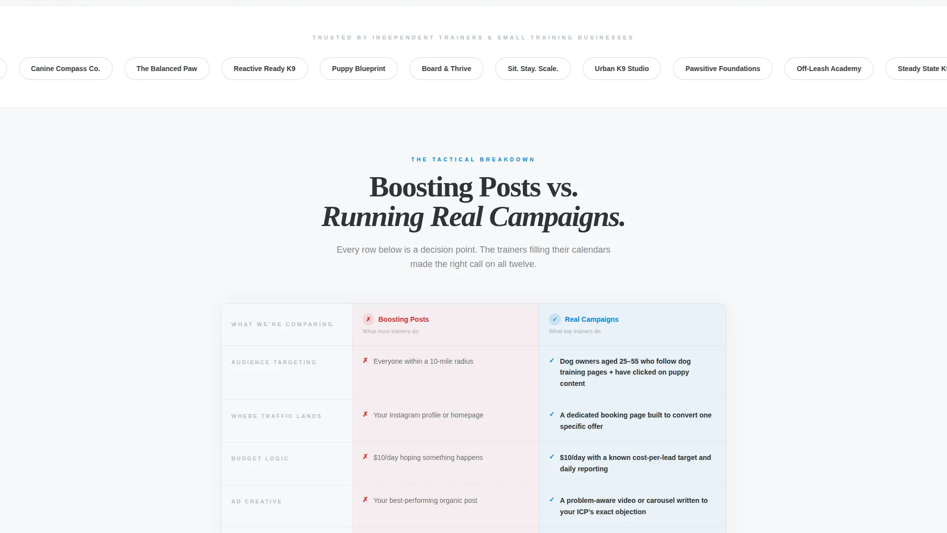 Dog Trainer Facebook Ads Landing Page Template