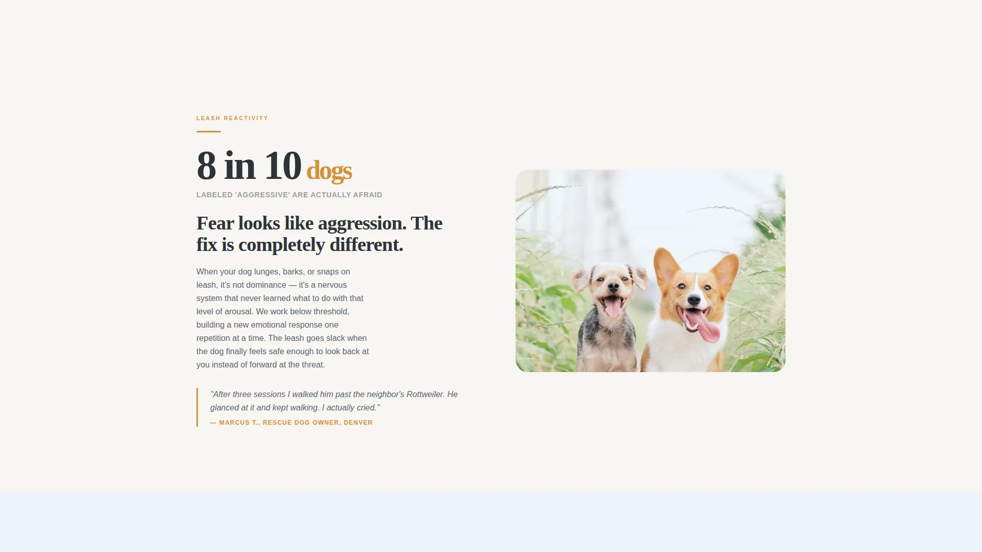 Dog Trainer Landing Page Template | Lead Gen