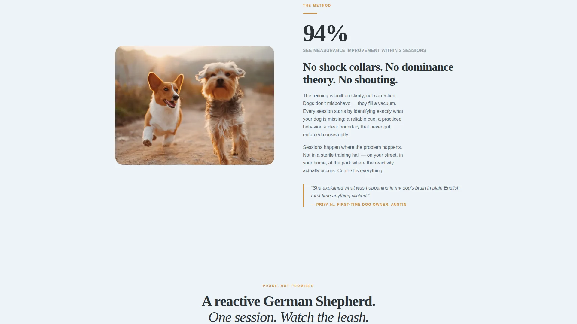 Dog Trainer Landing Page Template | Lead Gen