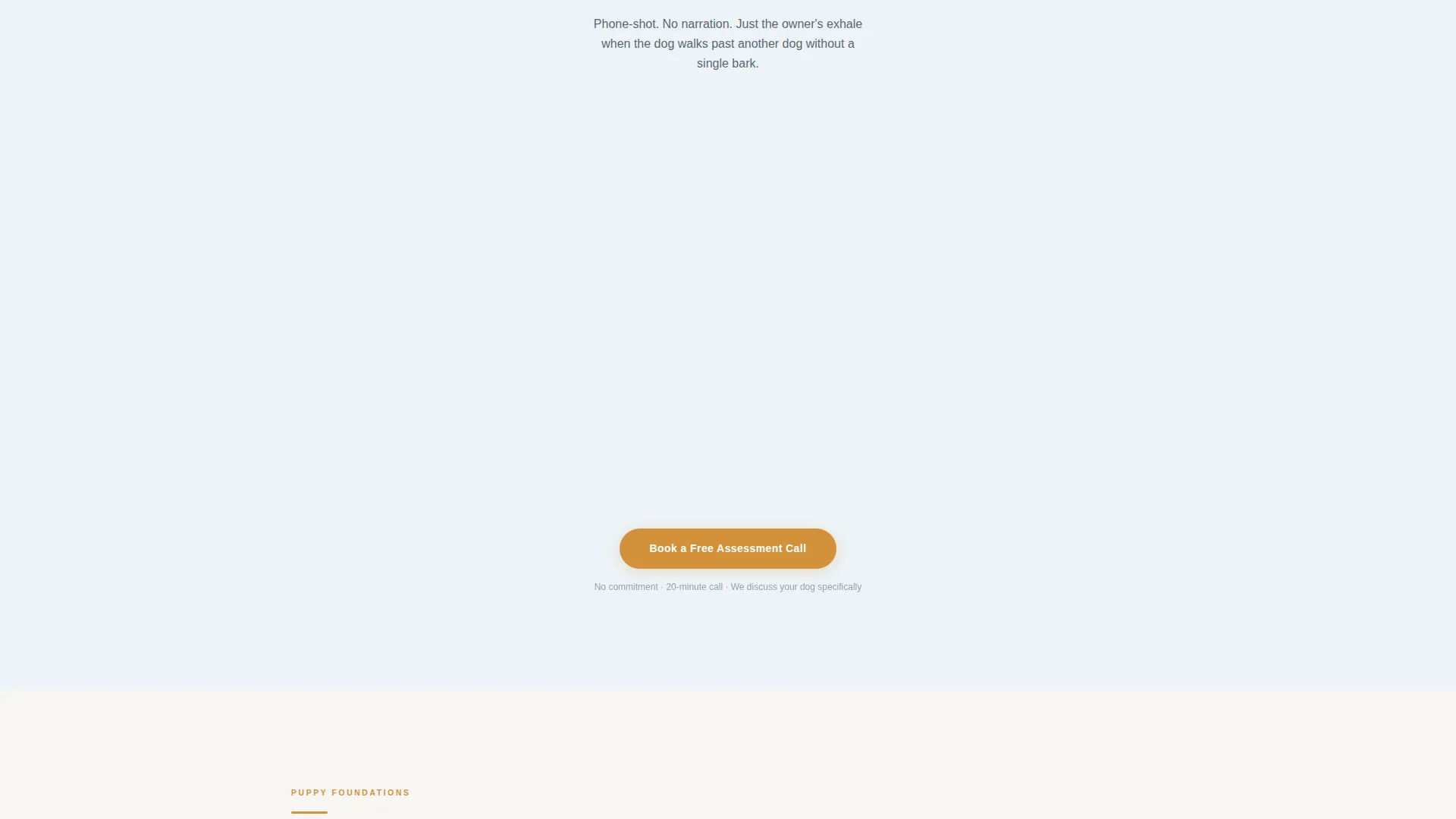 Dog Trainer Landing Page Template | Lead Gen