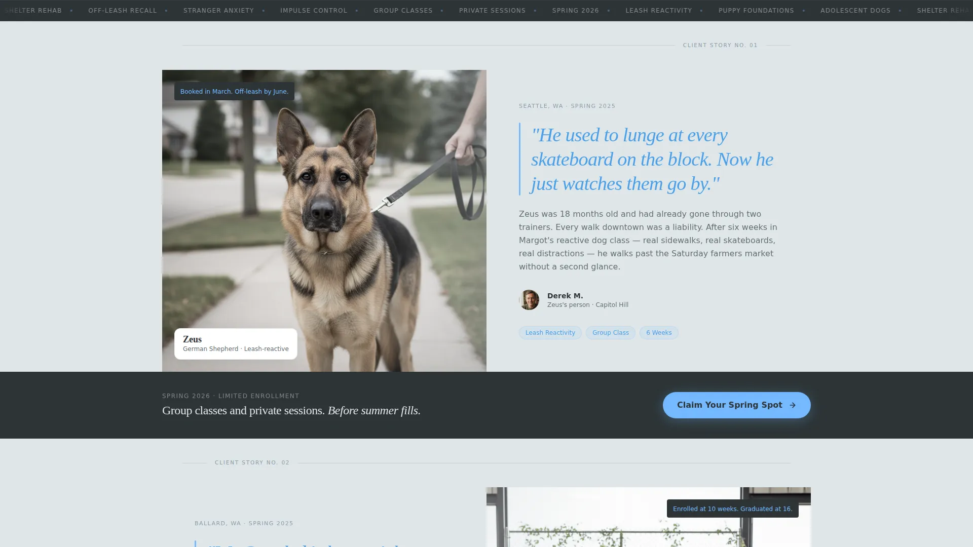Dog Trainer Seasonal Promotion Landing Page Template