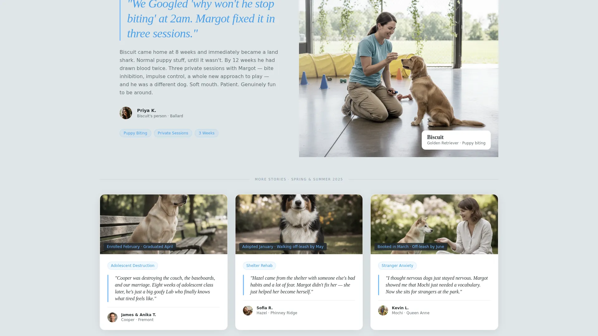 Dog Trainer Seasonal Promotion Landing Page Template