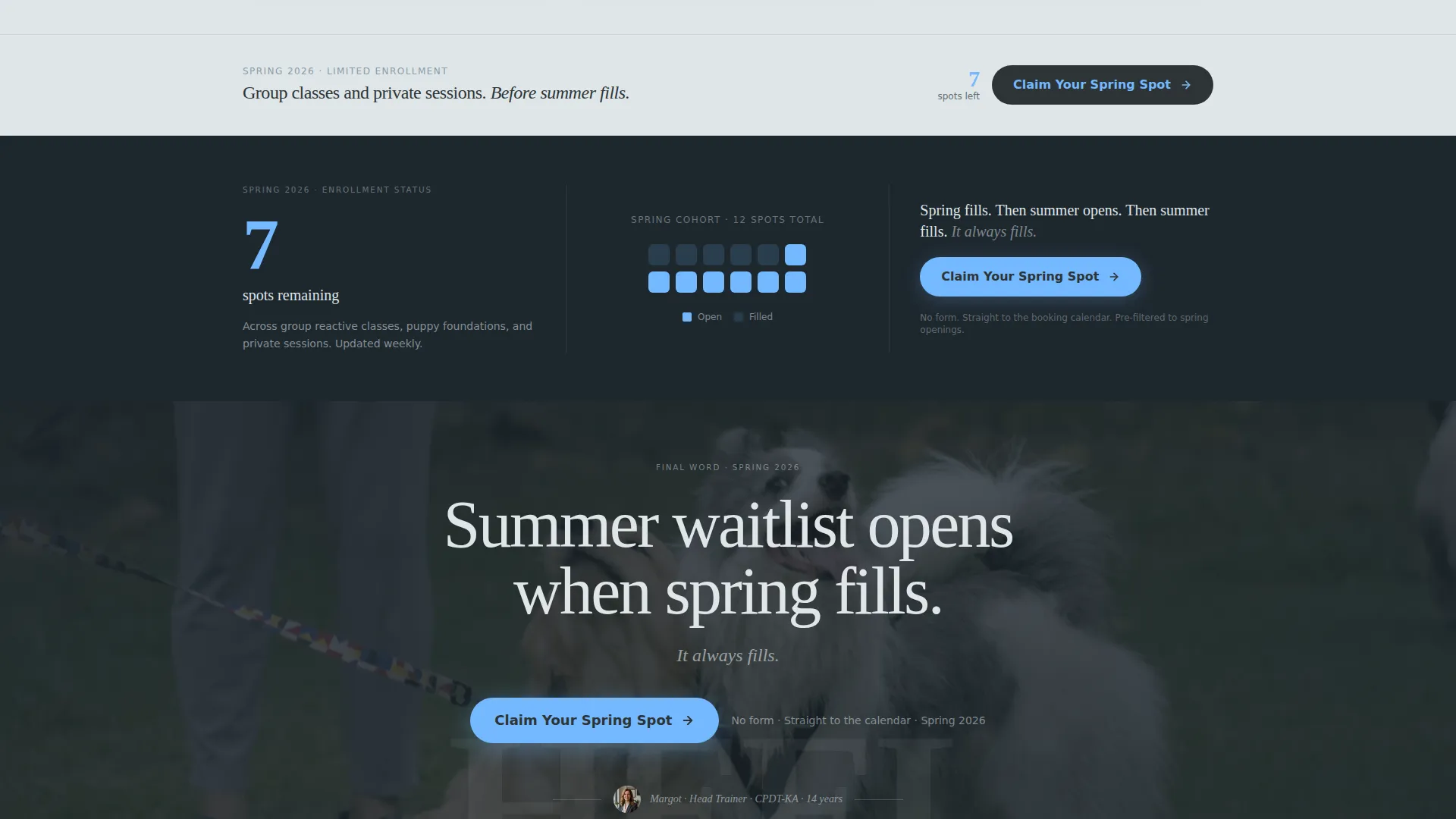 Dog Trainer Seasonal Promotion Landing Page Template