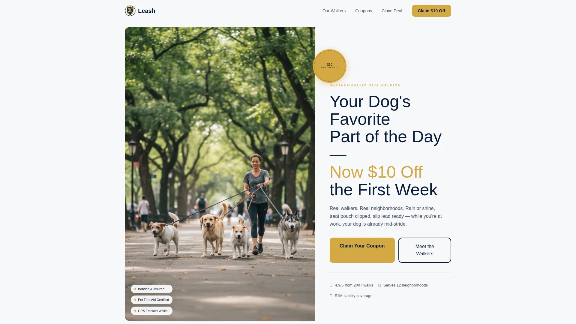 Dog Walker Coupon & Discount Landing Page Template