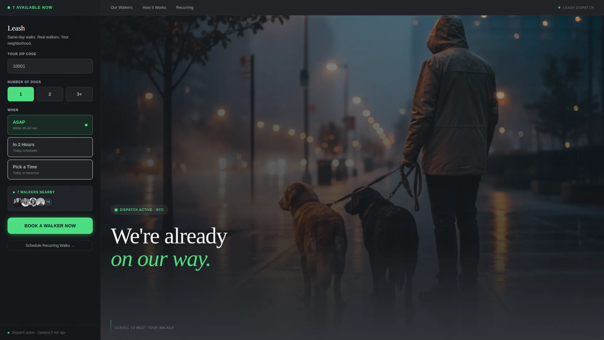 Same-Day Dog Walker Landing Page Template