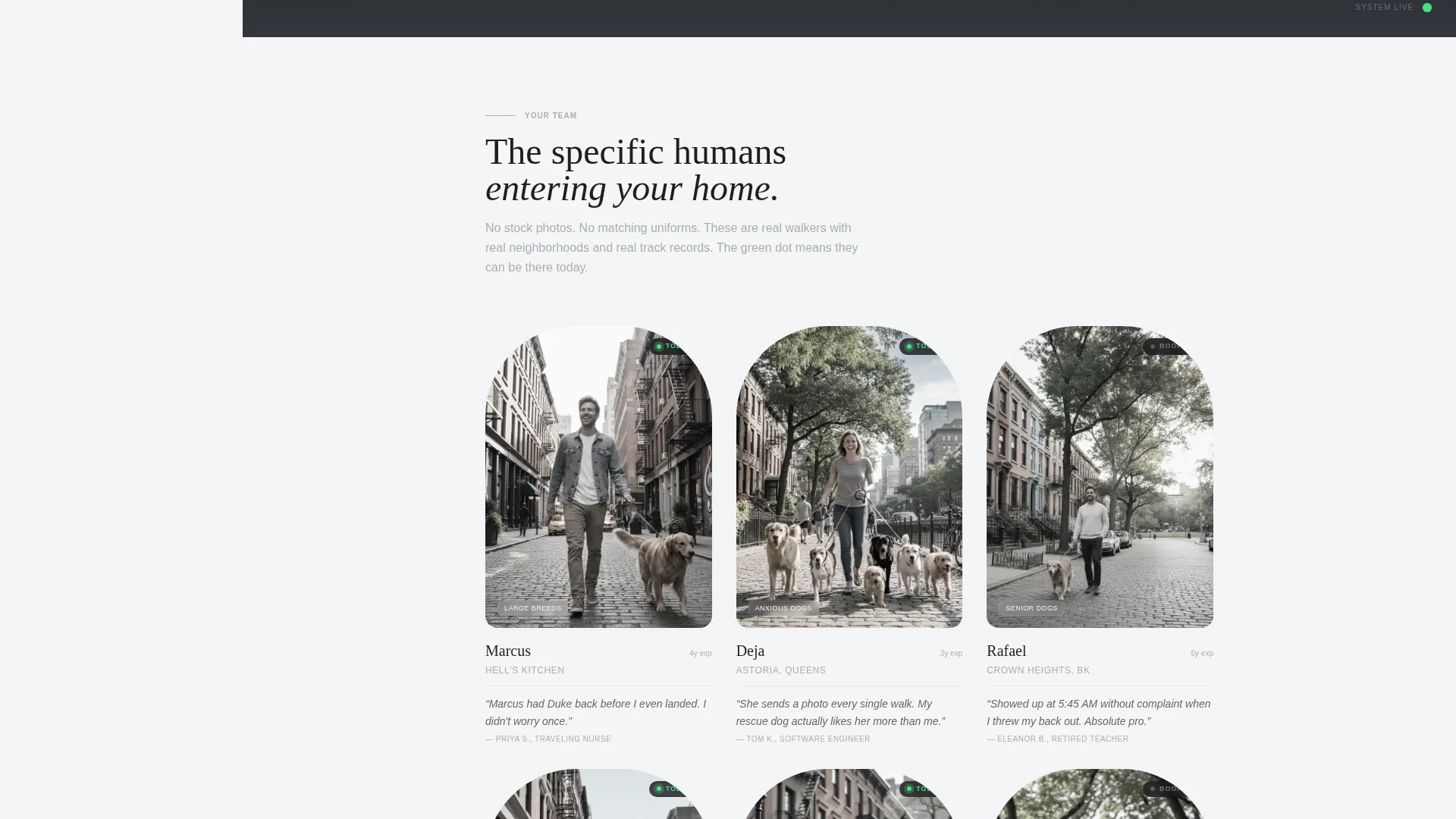 Same-Day Dog Walker Landing Page Template