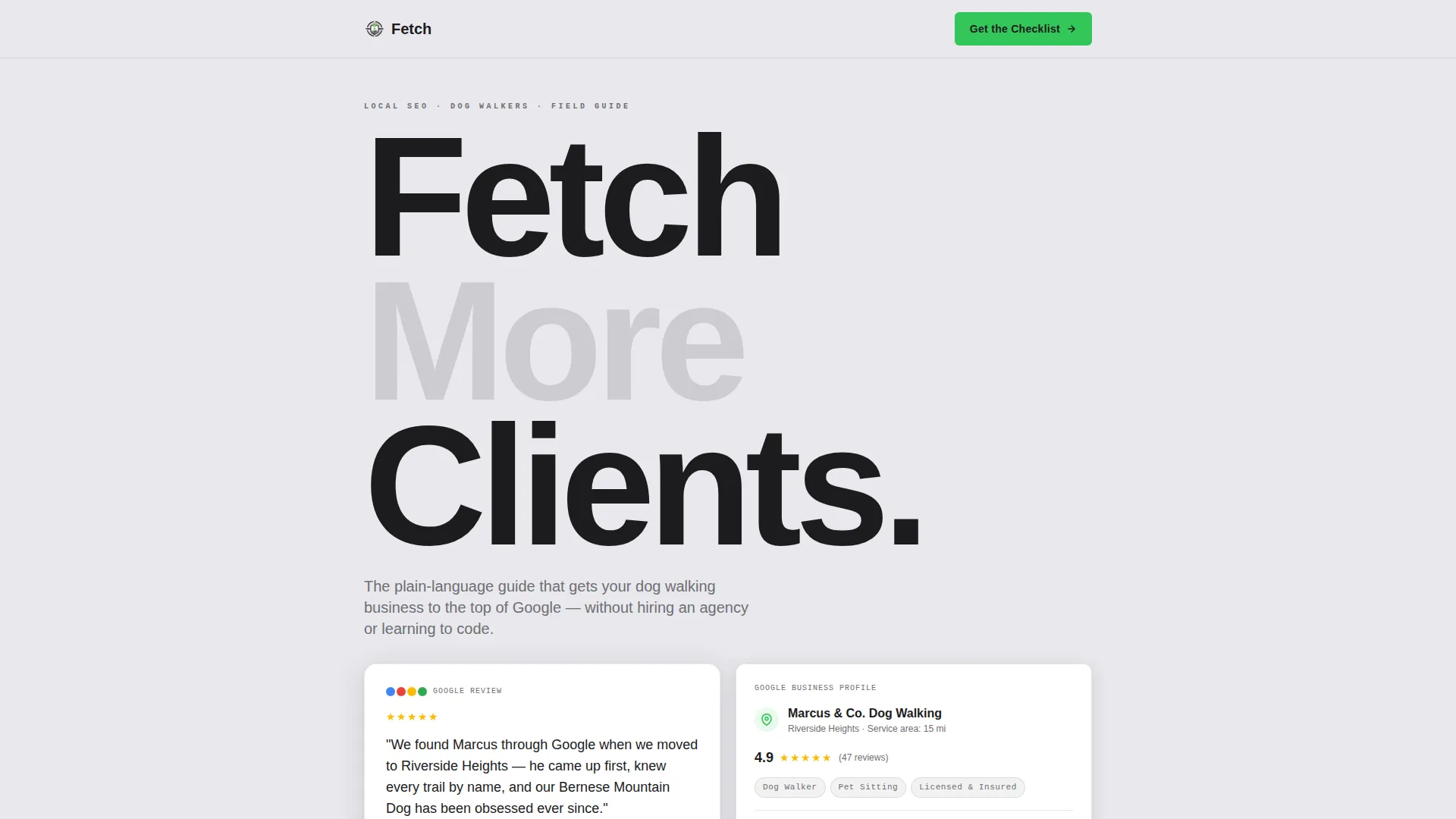 Dog Walker Local SEO Landing Page Template