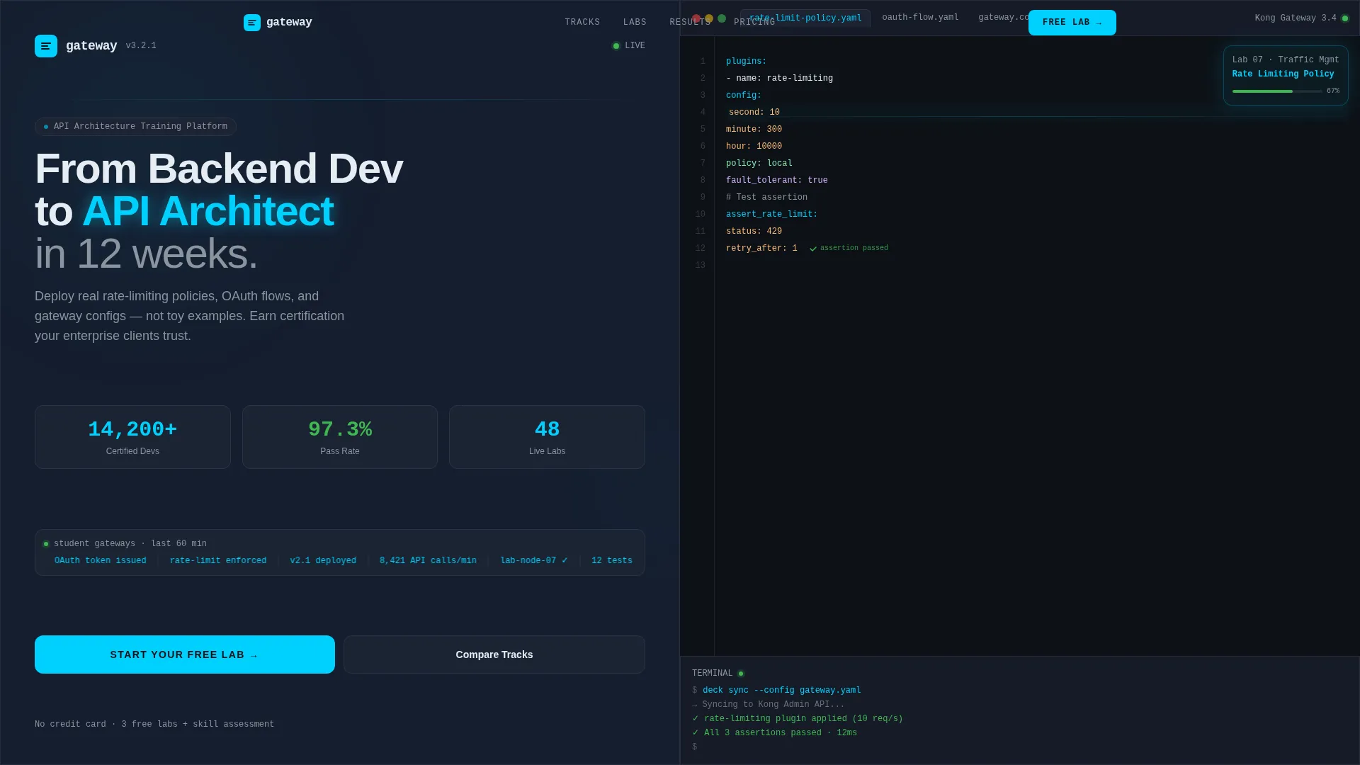 API Management Technology Professional Website Template