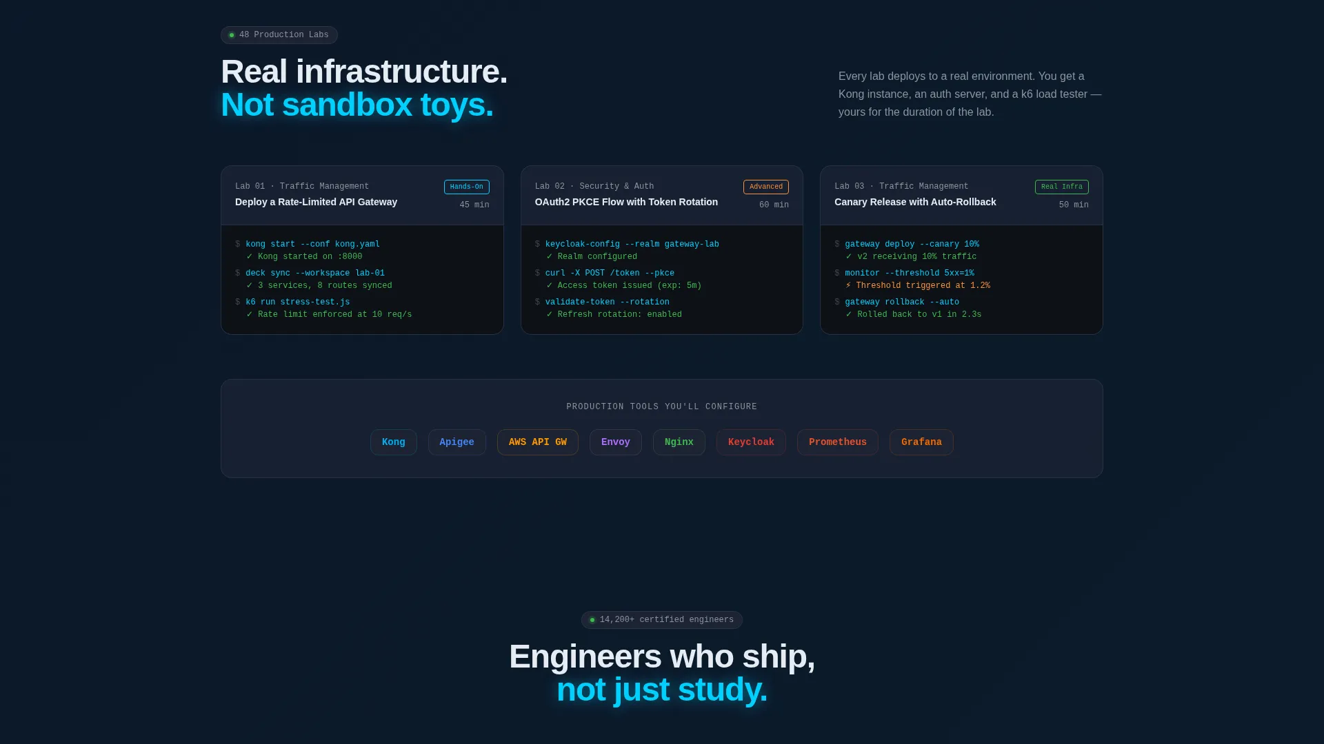 API Management Technology Professional Website Template
